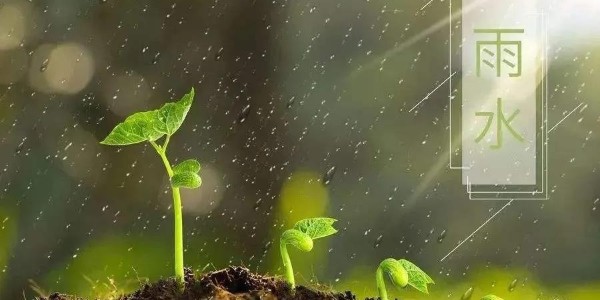 雨水 | 潤(rùn)澤萬(wàn)物，耀先環(huán)境愿你得綿遠(yuǎn)深情